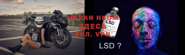 дживик Вязьма