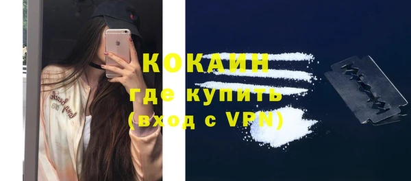 дживик Вязьма