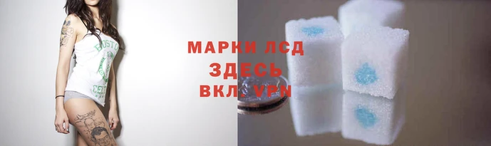 ECSTASY Вязники