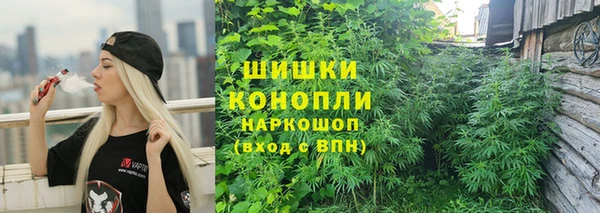 круглые Вяземский
