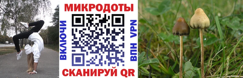 Псилоцибиновые грибы MAGIC MUSHROOMS  Черкесск 