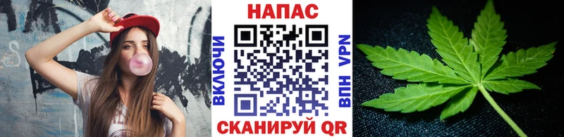 MEGA сайт  Черкесск  Каннабис сатива  где купить наркоту 